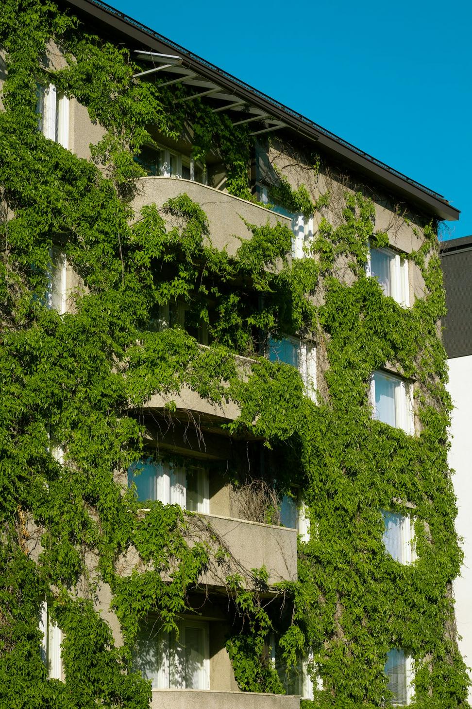 Green Building Certifications
