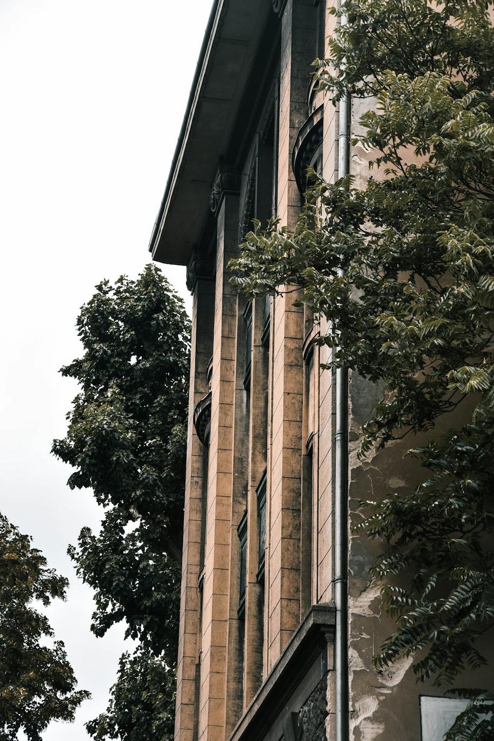Forest Edge Home